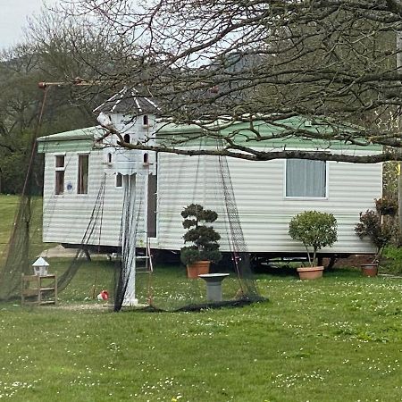 The Nest - Family Friendly Caravan Nr Glastonbury & Street サマートン エクステリア 写真