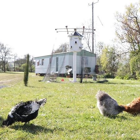 The Nest - Family Friendly Caravan Nr Glastonbury & Street サマートン エクステリア 写真