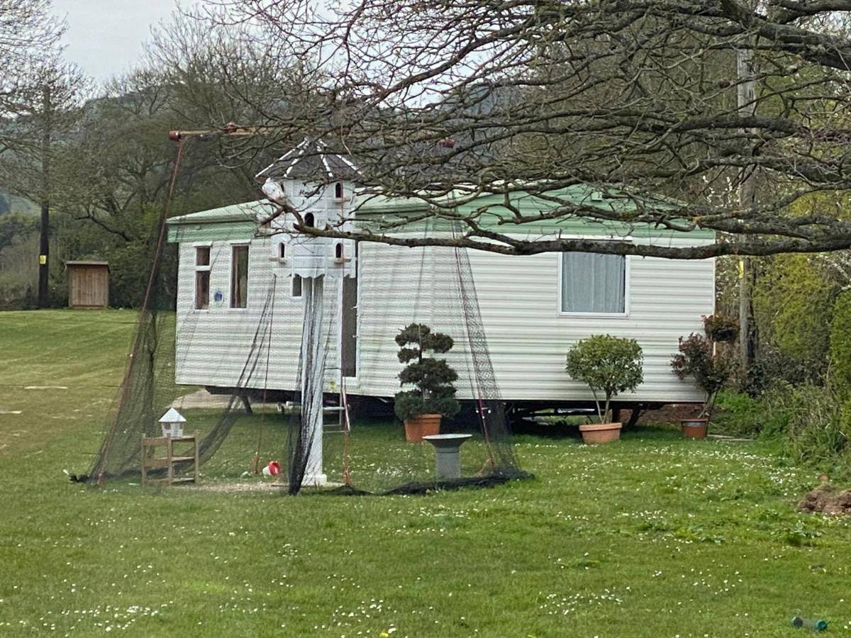 The Nest - Family Friendly Caravan Nr Glastonbury & Street サマートン エクステリア 写真