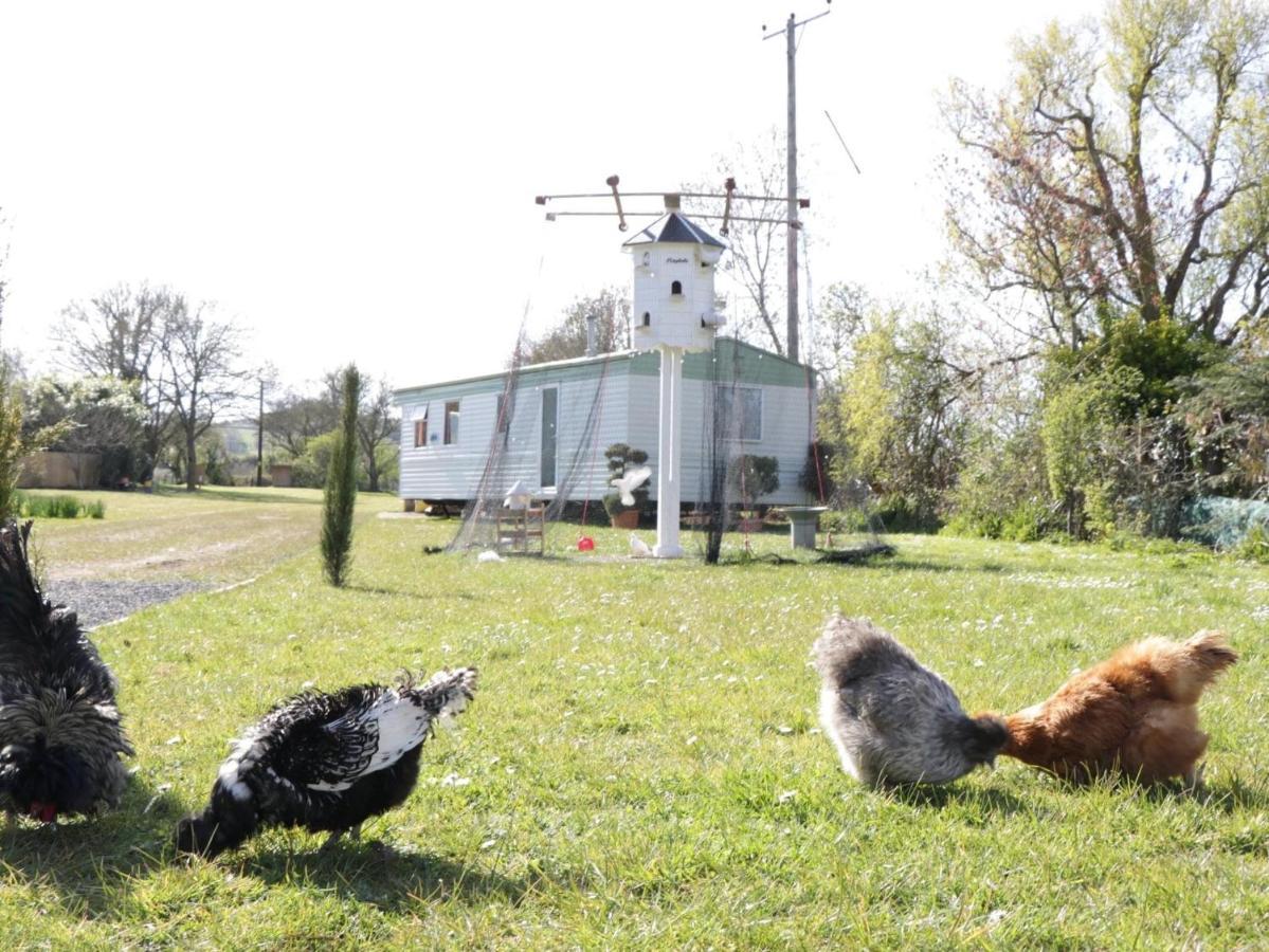 The Nest - Family Friendly Caravan Nr Glastonbury & Street サマートン エクステリア 写真